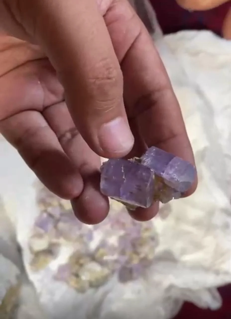 Purple crystal held for a closer look